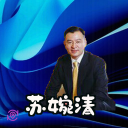 苏婉清